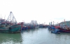 Một ngư dân ở Kiên Giang bị phạt 1 tỷ đồng và tịch thu tàu cá