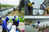 Hà Tĩnh: Cấp phát 41 tấn hóa chất phòng dịch bệnh thủy sản